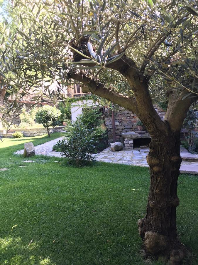 Number 10 Locanda B&B Belvedere Langhe Екстер'єр фото